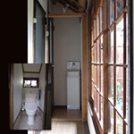 Plants: image 13 0f 34 thumb