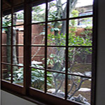 Plants: image 14 0f 34 thumb