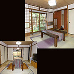 Plants: image 16 0f 34 thumb