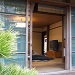 Plants: image 19 0f 34 thumb