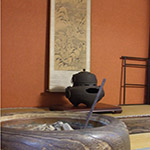 Plants: image 20 0f 34 thumb