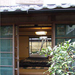 Plants: image 21 0f 34 thumb