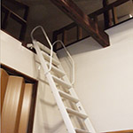 Plants: image 27 0f 34 thumb