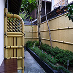 Plants: image 29 0f 34 thumb