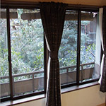 Plants: image 32 0f 34 thumb