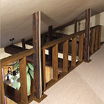 Plants: image 34 0f 34 thumb