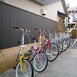 Plants: image 35 0f 34 thumb