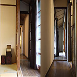 Plants: image 8 0f 34 thumb