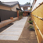 Plants: image 1 0f 28 thumb