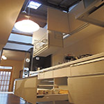 Plants: image 16 0f 28 thumb