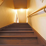 Plants: image 18 0f 28 thumb