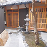 Plants: image 2 0f 28 thumb