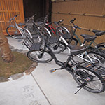 Plants: image 24 0f 28 thumb