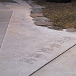 Plants: image 25 0f 28 thumb