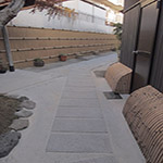 Plants: image 26 0f 28 thumb