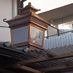 Plants: image 28 0f 28 thumb