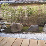 Plants: image 8 0f 28 thumb